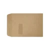 Hot LUX 9" x 12" Open End Window Envelopes, Grocery Bag