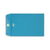 LUX 70lbs. 6" x 9" Clasp Envelopes, Bright Blue, 500/BX