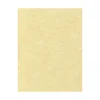 Card Stock*LUX Parchment 65 lb. Cardstock Paper, 8.5" x 11", Gold Parchment, 1000 Sheets/Pack (81211-C-41-1000)