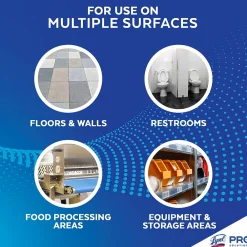 Professional No Rinse Sanitizer, 1 Gallon (3624174389)<Lysol New