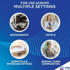 Professional No Rinse Sanitizer, 1 Gallon (3624174389)<Lysol New