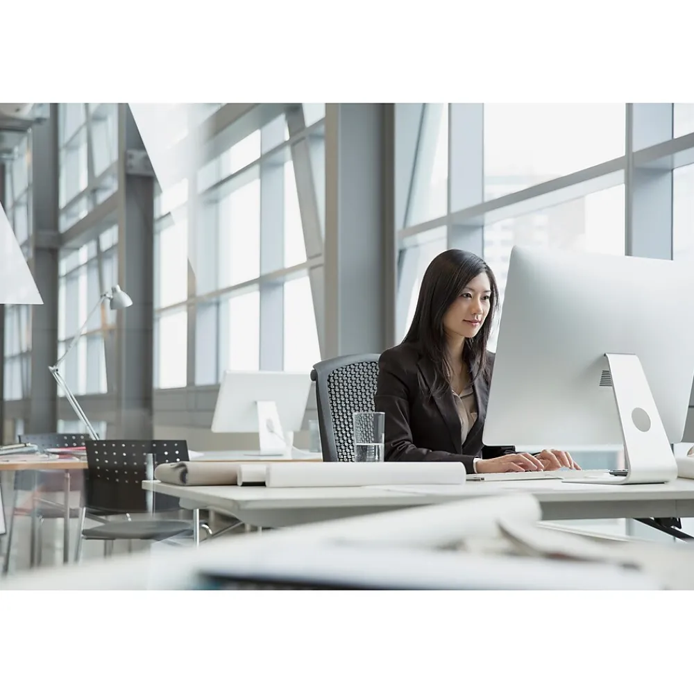 Anti-Glare Filter for 19" Standard Monitor, 5:4 Aspect Ratio (AG190C4B)<3M