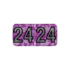 Labels|Medical Arts Press Holographic End-Tab Year Labels, 2024, Violet, 500/Roll (0724HV)