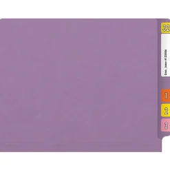 File Folders|Medical Arts Press Reinforced End Tab File Folder, Straight Cut, Letter-Size, Lavender, 250/Carton (S-01502-LAV-B)