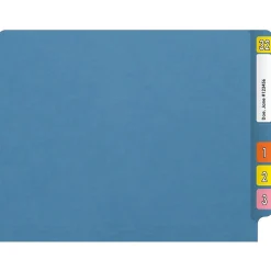 File Folders|Medical Arts Press Reinforced End Tab File Folder, Straight Cut, Letter-Size, Blue, 250/Carton (S-01602-BLU-B)