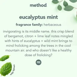 Bathroom Cleaner, Eucalyptus Mint, 28 Ounce (00008)<Method Online