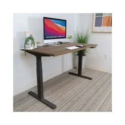 Standing Desks*Mount-It! Ultimate 55
