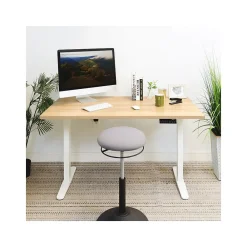 Standing Desks*Mount-It! 55