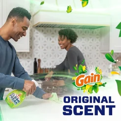 Clean Freak Starter Kit Multi-Surface Mist, Gain Original Scent, 16 oz. (79127)<Mr. Clean Sale