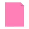 Multipurpose Paper*Neenah Paper Neenah Astrobrights Paper, 11" x 17", 60lb., Text, Pulsar Pink, 2500/Carton (21033)