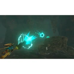 Online Nintendo The Legend of Zelda: Tears of the Kingdom, Action & Adventure, Switch (HACPAXN7A)