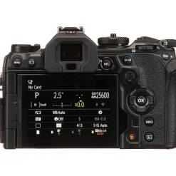 Olympus OM SYSTEM OM-1 20.4 Megapixel Mirrorless Camera Body Only, Black (V210010BU000)