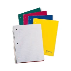 Subject Notebooks|Oxford Earthwise 1-Subject Notebooks, 8.5" x 11", College Ruled, 100 Sheets, Each (25-207R)