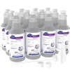 1 Accelerated Hydrogen Peroxide Ready-to-Use Spray, 32 oz., 12/Carton (100850916)<Oxivir Hot
