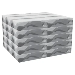 Facial Tissue, 2-ply, 100 Tissues/Box, 30 Boxes/Pack (47410)<Pacific Blue Basic Online