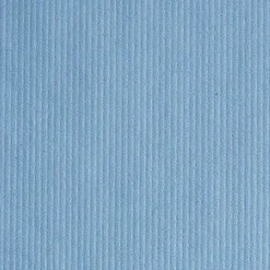 Poly Cleaning Wipers, 10.25