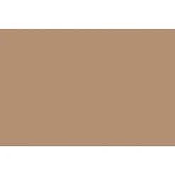 Construction Paper*Pacon 12" x 18" Construction Paper, Light Brown, 50 Sheets/Pack (PAC6907)