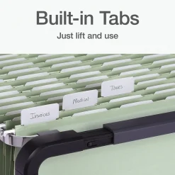 Hanging File Folders|Pendaflex Standard Reinforced Hanging File Folder, 6-Tab, Legal, Sage Green, 20/Box (1009464)