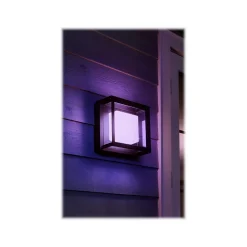 Philips Econic Hue LED Wall Outdoor Light, Glass (1743830V7)