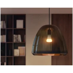 Philips Hue 100W Equivalent A21 LED Smart Bulb, Soft Warm White (580845)