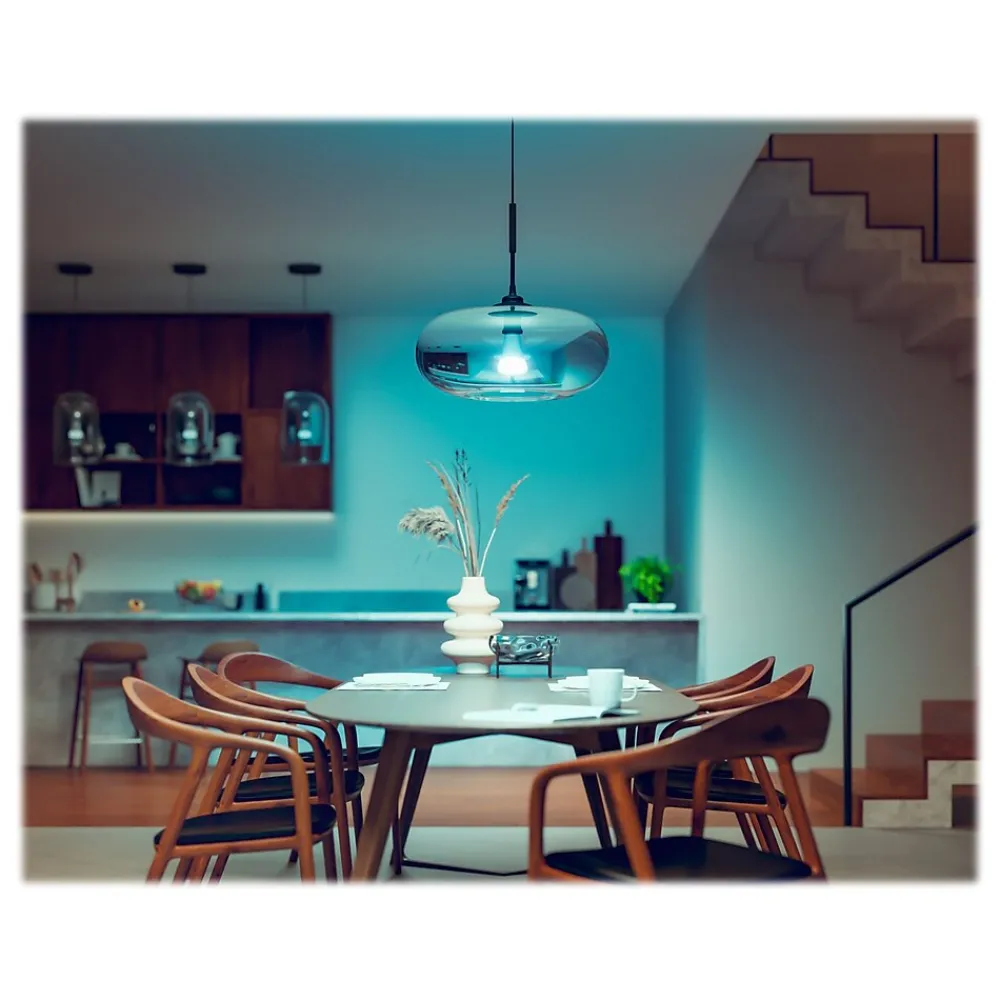 Philips Hue White Light Bulb, A21 16 Million Colors 16W E26 (562982)