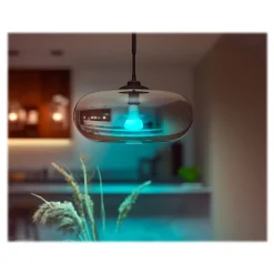 Philips Hue White Light Bulb, A21 16 Million Colors 16W E26 (562982)