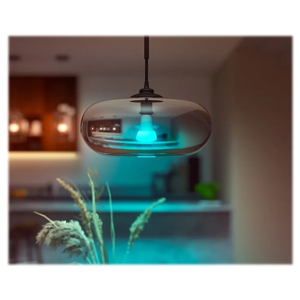 Philips Hue White Light Bulb, A21 16 Million Colors 16W E26 (562982)