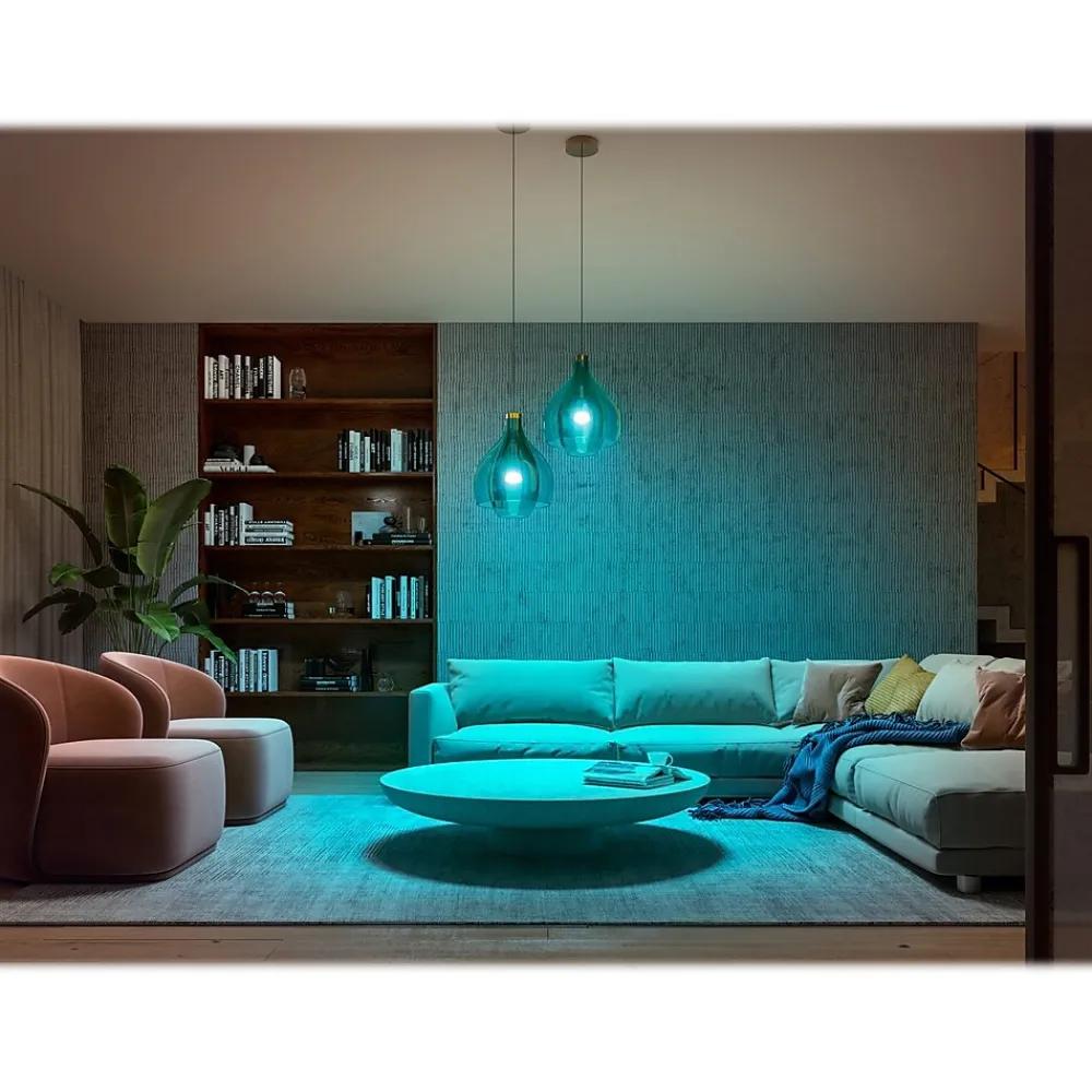 Philips Hue White Light Bulb, A21 16 Million Colors 10.5W E26, 2/Pack (563361)