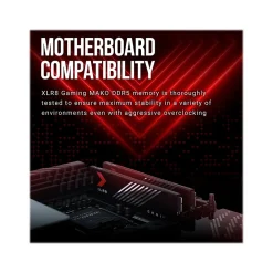 Best PNY XLR8 Gaming MAKO 32GB (2 x 16GB) DDR5 UDIMM 288-pin Desktop Memory Kit (MD32GK2D5600040MXR)