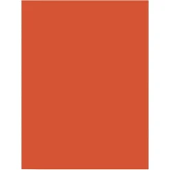 Construction Paper*Prang 9