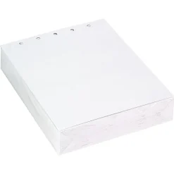 Copy Paper*PARIS BUSINESS PRODUCTS Printworks Professional 8.5" x 11" Copy Paper, 20 lbs., 92 Brightness, 500/Ream (04108)