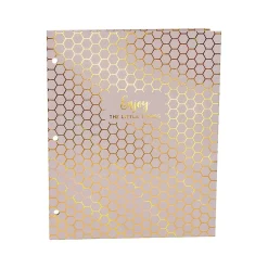 Pocket Folders|Pukka Pad Haze 3-Hole Punched 2-Pocket Cardstock Portfolio Folders, Assorted Colors, 6/Pack (9980(AST)-HZE)
