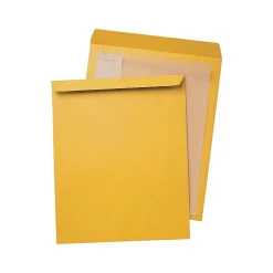 New Quality Park Open End Kraft Catalog Envelopes, 15
