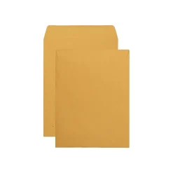 Outlet Quality Park Redi-Seal Kraft Catalog Envelopes, 9.5