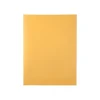 New Quality Park Redi-Strip Kraft Catalog Envelopes, 9" x 12", Brown Kraft, 100/Box (QUA44562)
