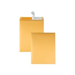 Clearance Quality Park Redi-Strip Kraft Catalog Envelopes, 10