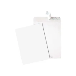 Outlet Quality Park Tech-No-Tear Redi-Strip Catalog Envelopes, 9