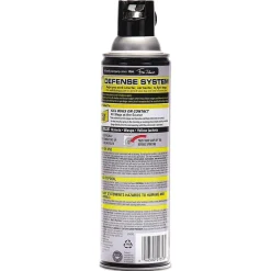 Raid Wasp and Hornet Killer, 14 oz. Aerosol Spray, 12/Carton (SJN668006)