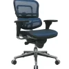 Office Chairs*RAYNOR GROUP Raynor Eurotech Ergo human Mesh Mid Back Task Chair, Blue