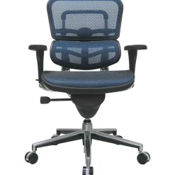 Office Chairs*RAYNOR GROUP Raynor Eurotech Ergo human Mesh Mid Back Task Chair, Blue