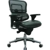 Office Chairs*Eurotech Raynor Mesh/Leather Mid Back Ergo human Chair, Black