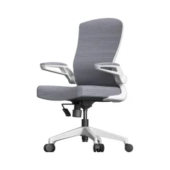 Office Chairs*RAYNOR GROUP ION Fabric Task Chair, Gray/White (ION-WH-GRY)