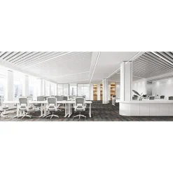 Office Chairs*RAYNOR GROUP ION Fabric Task Chair, Gray/White (ION-WH-GRY)