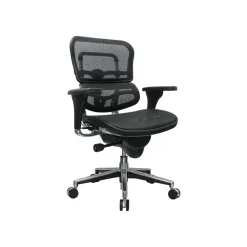 Office Chairs*RAYNOR GROUP Raynor Low Back Mesh Task Chair, Black (ME8ERGLO(N))