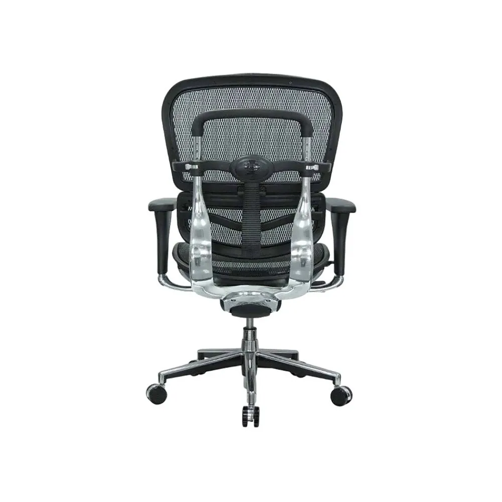 Office Chairs*RAYNOR GROUP Raynor Low Back Mesh Task Chair, Black (ME8ERGLO(N))