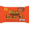 Reese's Peanut Butter Milk Chocolate Cup, 9 oz., 2/Pack (246-01011)
