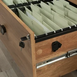 File Cabinets*Sauder Cannery Bridge Commercial 2-Drawer Lateral File Cabinet, Letter/Legal Size, 32