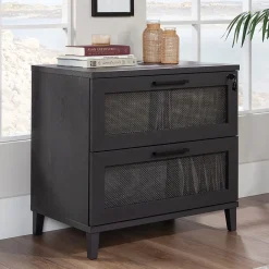 File Cabinets*Sauder Tiffin Line Commercial 2-Drawer Lateral File Cabinet, Letter/Legal Size, Lockable, 31