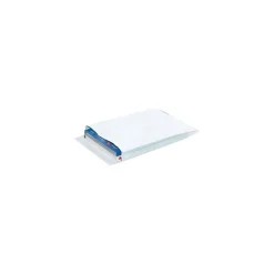 Outlet Unbranded Self Seal Catalog Envelope 10" x 13", White, 100/Carton (TYE10132WE)