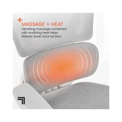 Office Chairs*Sharper Image S-850 Ergonomic Mesh Swivel Computer and Desk Chair, Light Gray/White (60106-LGRYWHT)